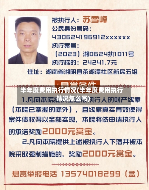 半年度费用执行情况(半年度费用执行情况怎么写)-第2张图片