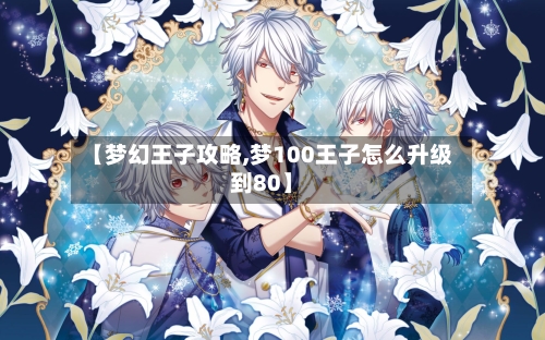 【梦幻王子攻略,梦100王子怎么升级到80】