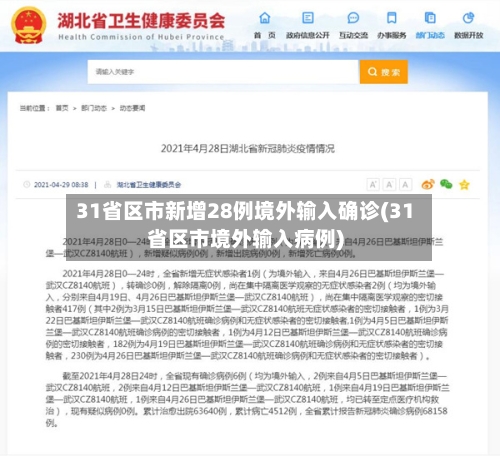31省区市新增28例境外输入确诊(31省区市境外输入病例)-第2张图片