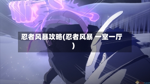 忍者风暴攻略(忍者风暴 一室一厅)