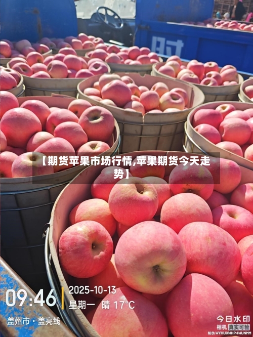 【期货苹果市场行情,苹果期货今天走势】