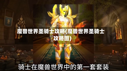魔兽世界圣骑士攻略(魔兽世界圣骑士攻略图)