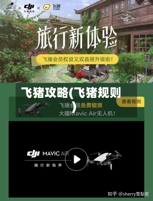 飞猪攻略(飞猪规则)