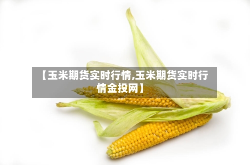 【玉米期货实时行情,玉米期货实时行情金投网】