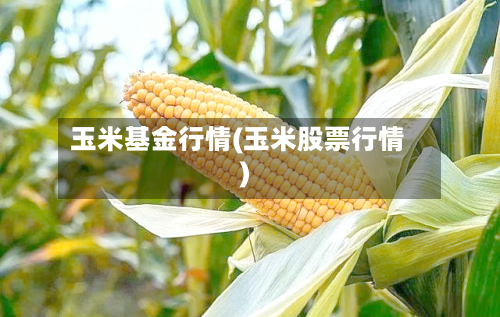 玉米基金行情(玉米股票行情)-第2张图片