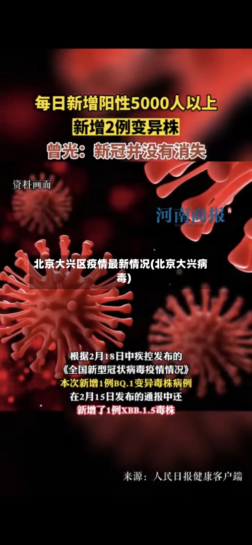 北京大兴区疫情最新情况(北京大兴病毒)