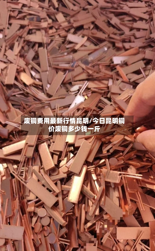 废铜费用最新行情昆明/今日昆明铜价废铜多少钱一斤