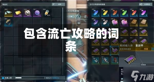 包含流亡攻略的词条