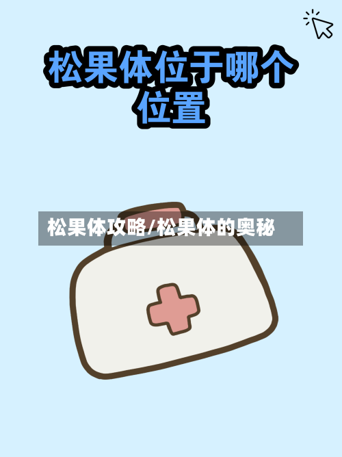 松果体攻略/松果体的奥秘-第2张图片