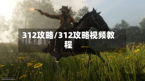 312攻略/312攻略视频教程-第2张图片
