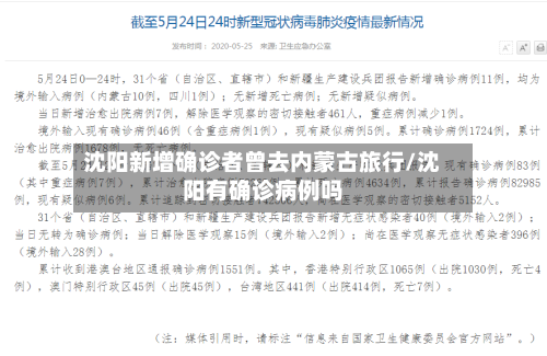 沈阳新增确诊者曾去内蒙古旅行/沈阳有确诊病例吗