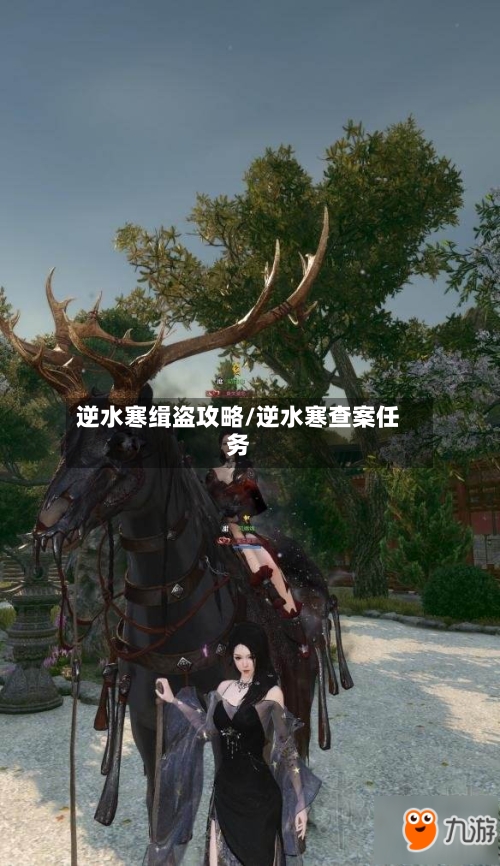 逆水寒缉盗攻略/逆水寒查案任务-第2张图片