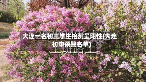 大连一名初三学生检测呈阳性(大连初中预警名单)