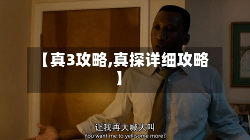 【真3攻略,真探详细攻略】-第2张图片