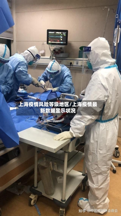 上海疫情风险等级地区/上海疫情最新数据显示状况-第2张图片