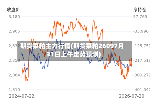 期货菜粕主力行情(期货菜粕26097月31日上午走势预测)-第3张图片