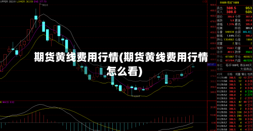 期货黄线费用行情(期货黄线费用行情怎么看)