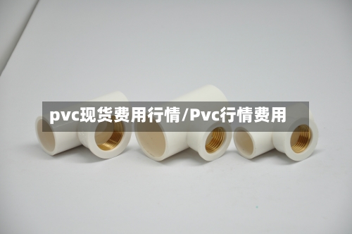 pvc现货费用行情/Pvc行情费用