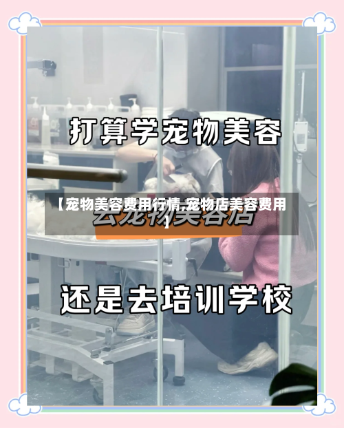 【宠物美容费用行情,宠物店美容费用】-第2张图片
