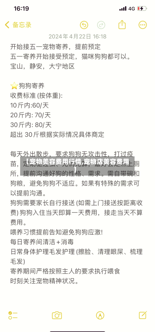 【宠物美容费用行情,宠物店美容费用】-第3张图片