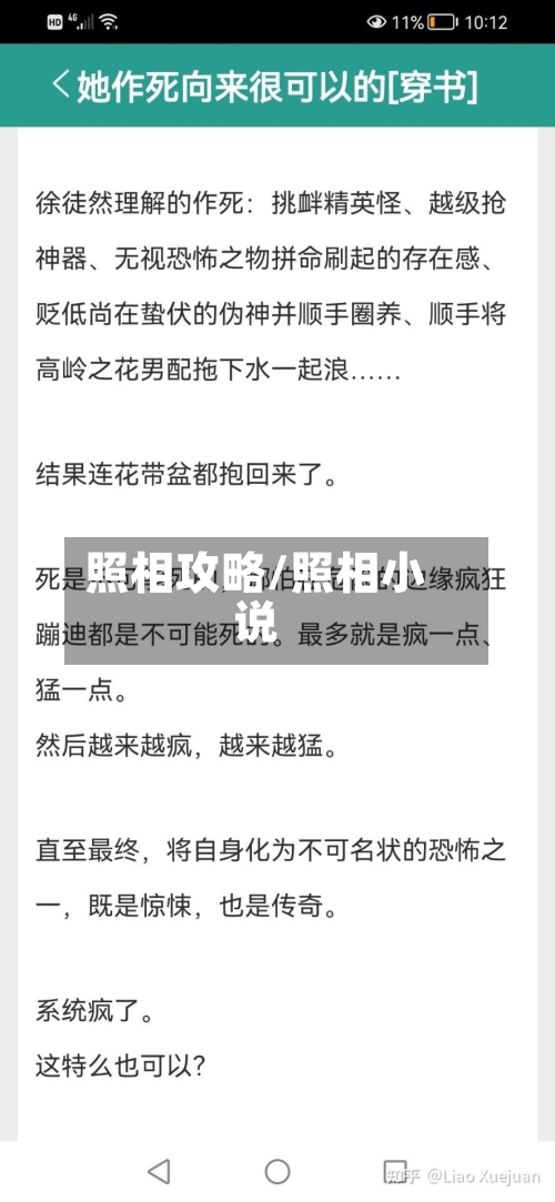 照相攻略/照相小说