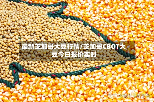 最新芝加哥大豆行情/芝加哥CBOT大豆今日报价实时-第2张图片