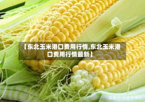 【东北玉米港口费用行情,东北玉米港口费用行情最新】-第2张图片