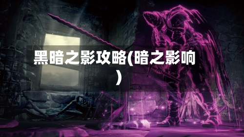 黑暗之影攻略(暗之影响)