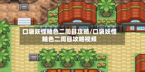 口袋妖怪釉色二周目攻略/口袋妖怪釉色二周目攻略视频