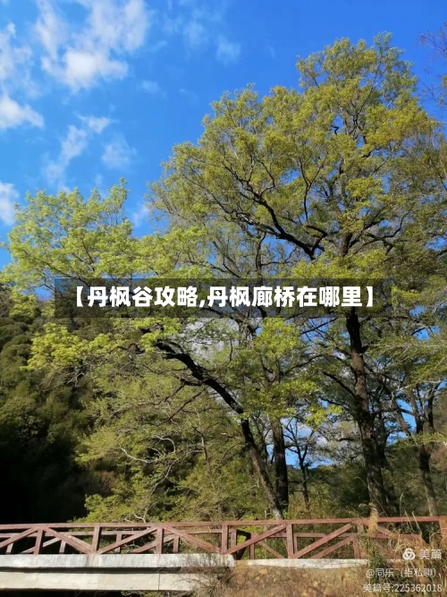 【丹枫谷攻略,丹枫廊桥在哪里】