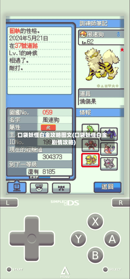 口袋妖怪白金攻略图文(口袋妖怪白金剧情攻略)-第1张图片