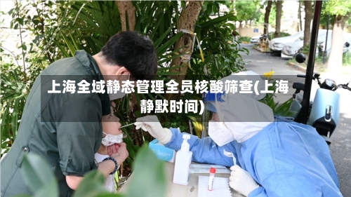 上海全域静态管理全员核酸筛查(上海静默时间)-第1张图片