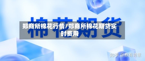 郑商所棉花行情/郑商所棉花期货实时费用-第1张图片