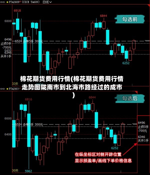 棉花期货费用行情(棉花期货费用行情走势图陇南市到北海市路经过的成市)-第1张图片