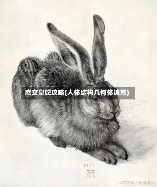 庶女皇妃攻略(人体结构几何体速写)-第1张图片