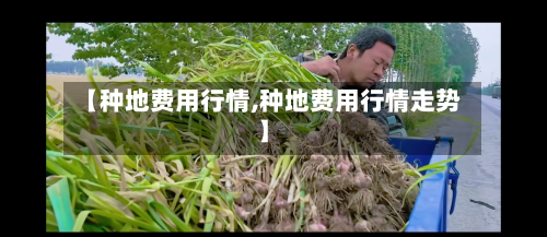 【种地费用行情,种地费用行情走势】-第1张图片