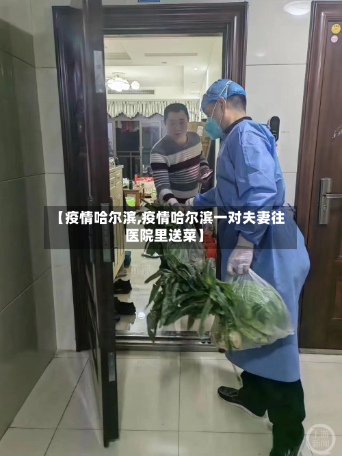 【疫情哈尔滨,疫情哈尔滨一对夫妻往医院里送菜】-第1张图片