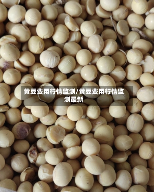 黄豆费用行情监测/黄豆费用行情监测最新-第1张图片