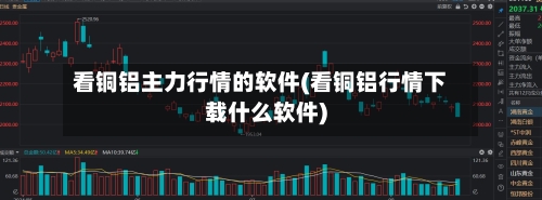 看铜铝主力行情的软件(看铜铝行情下载什么软件)-第1张图片
