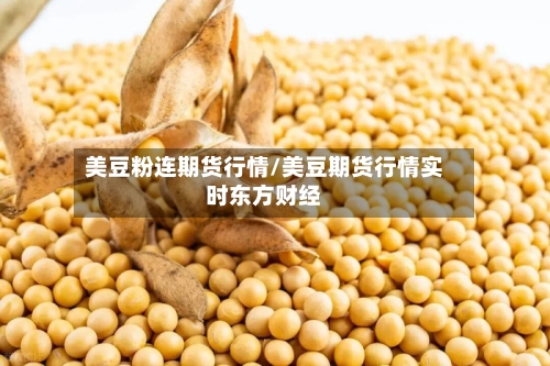 美豆粉连期货行情/美豆期货行情实时东方财经-第1张图片