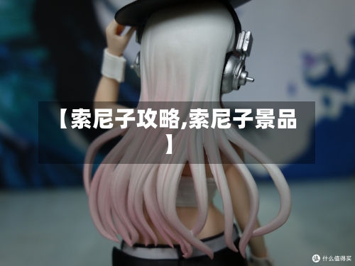 【索尼子攻略,索尼子景品】-第1张图片