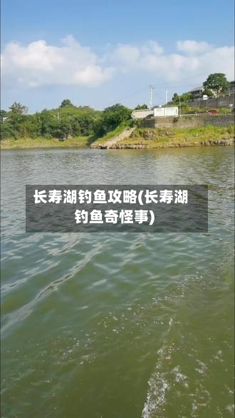 长寿湖钓鱼攻略(长寿湖钓鱼奇怪事)-第1张图片