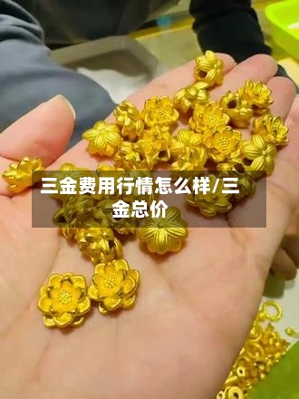三金费用行情怎么样/三金总价-第1张图片