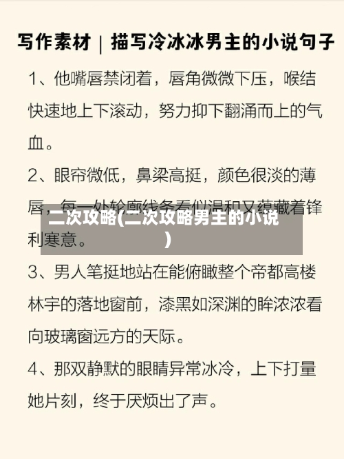 二次攻略(二次攻略男主的小说)-第1张图片