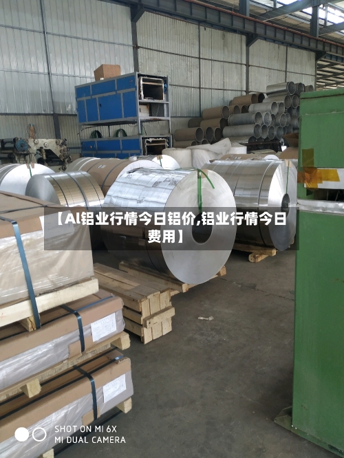 【Al铝业行情今日铝价,铝业行情今日费用】-第1张图片