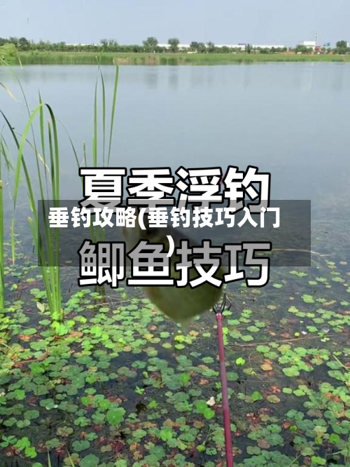 垂钓攻略(垂钓技巧入门)-第1张图片