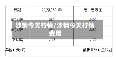 沙钢今天行情/沙钢今天行情费用-第1张图片
