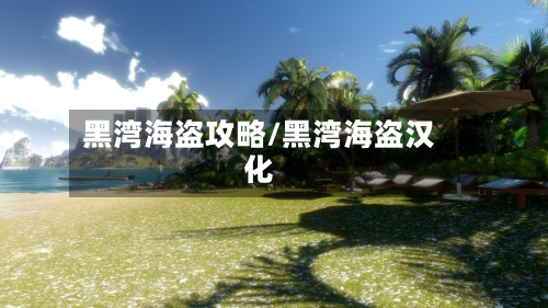 黑湾海盗攻略/黑湾海盗汉化-第1张图片