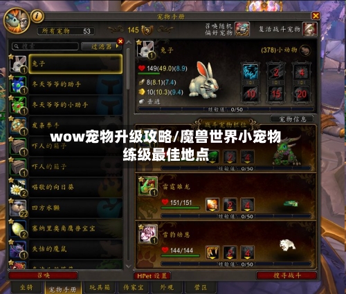 wow宠物升级攻略/魔兽世界小宠物练级最佳地点-第1张图片