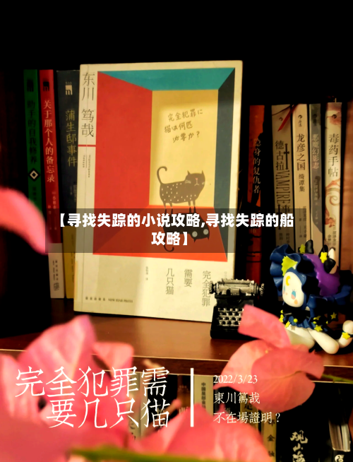 【寻找失踪的小说攻略,寻找失踪的船攻略】-第1张图片